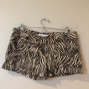 Charlotte Russe Adorable Shorts Size 9